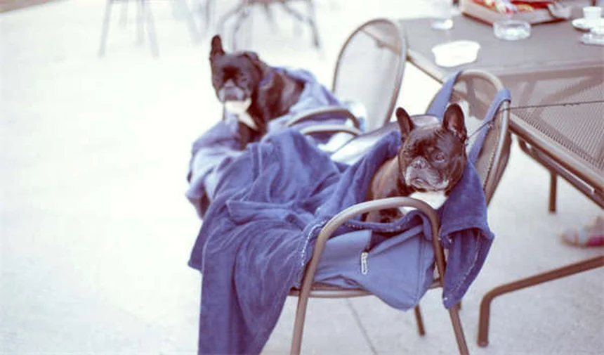 2026 Honda HR-V Review: What's New & Is It Worth It?